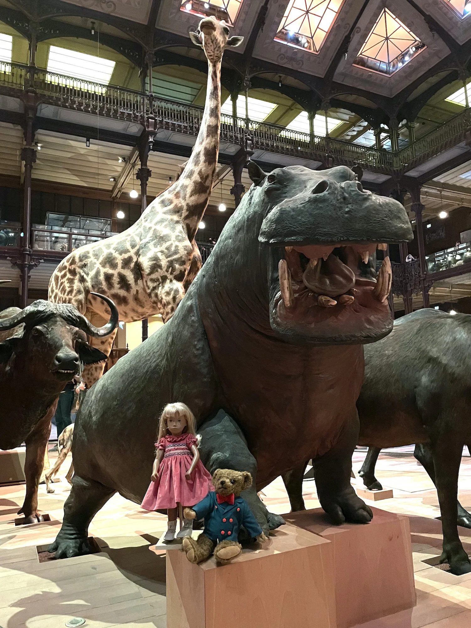 GRANDE GALERIE DE L’EVOLUTION : EXPLORE WILDLIFE IN THE HEART OF PARIS