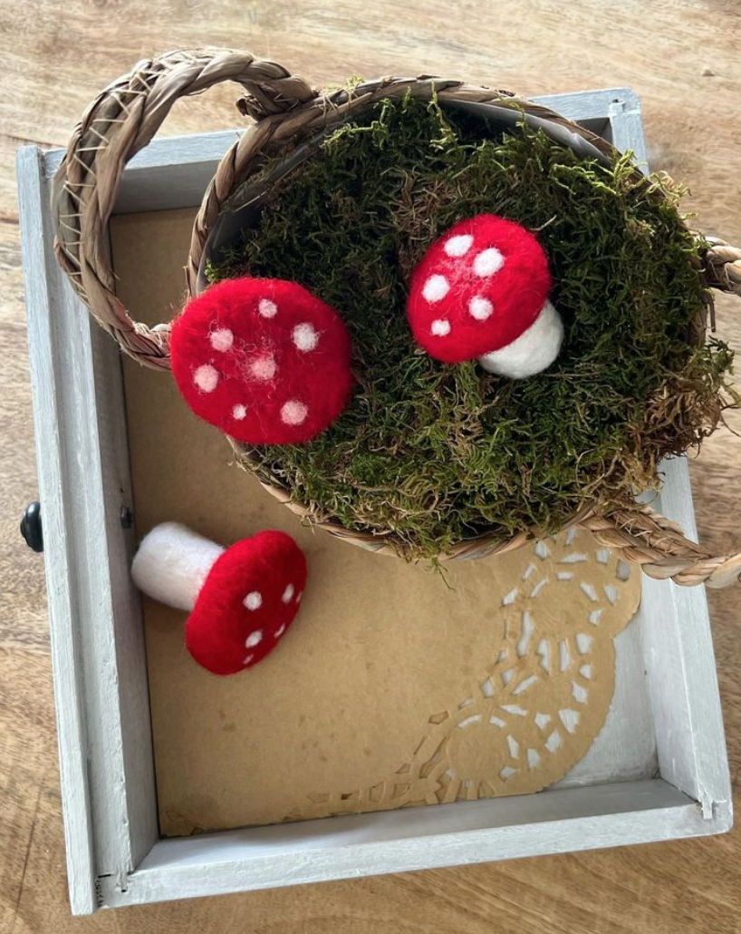 Red and white mushrooms