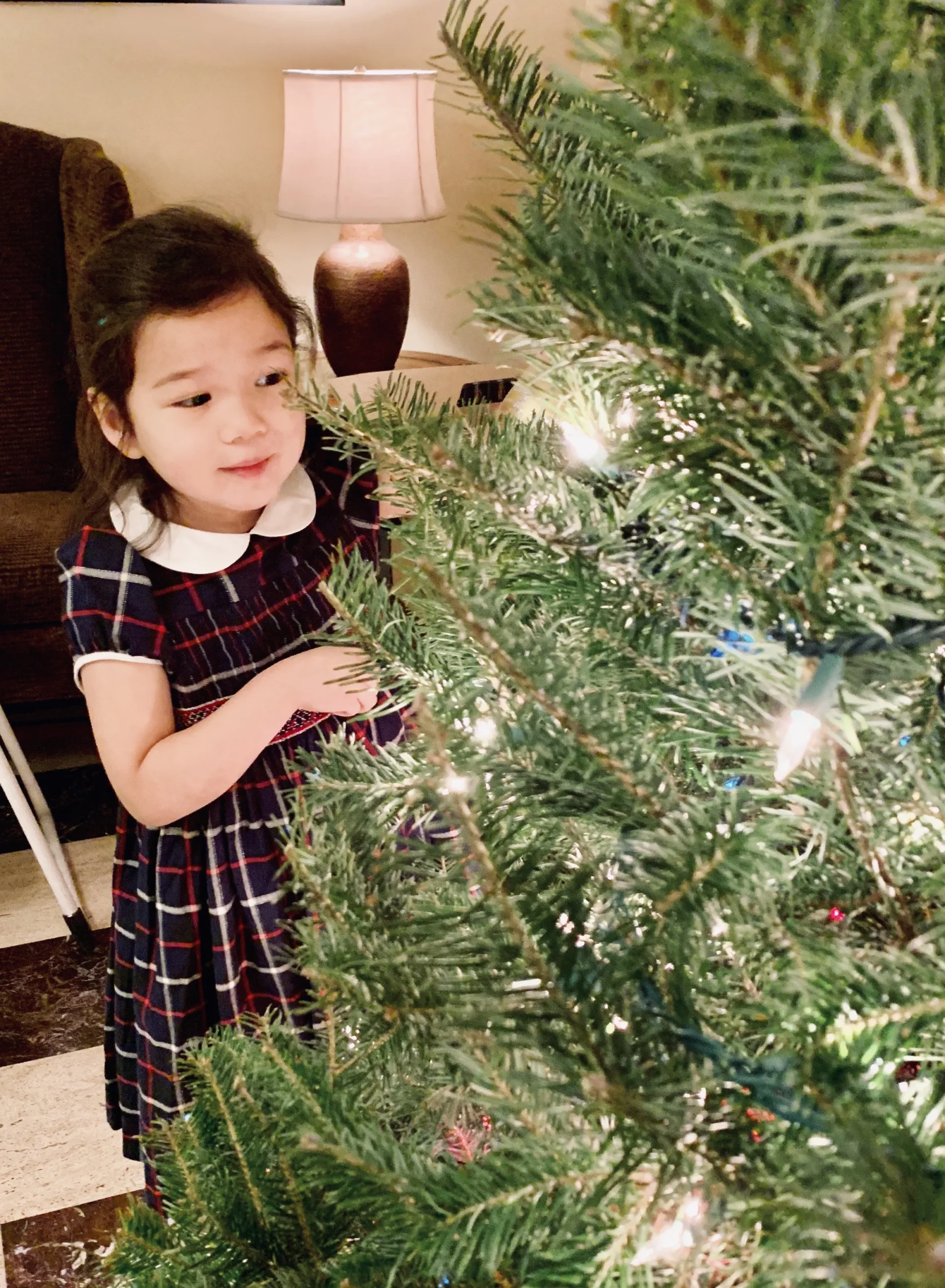 Christmas dress - handmade smocke dress - Paris boutique - kids