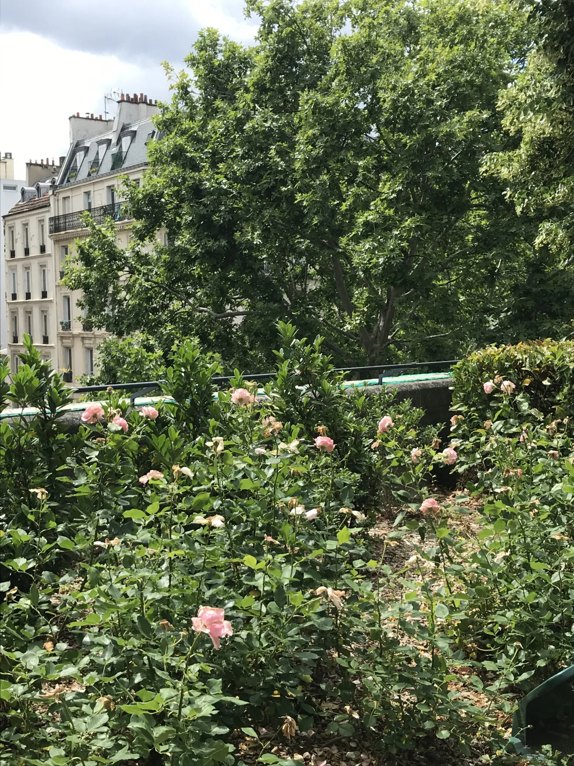 PARIS’ GREEN WALK : LA COULÉE VERTE