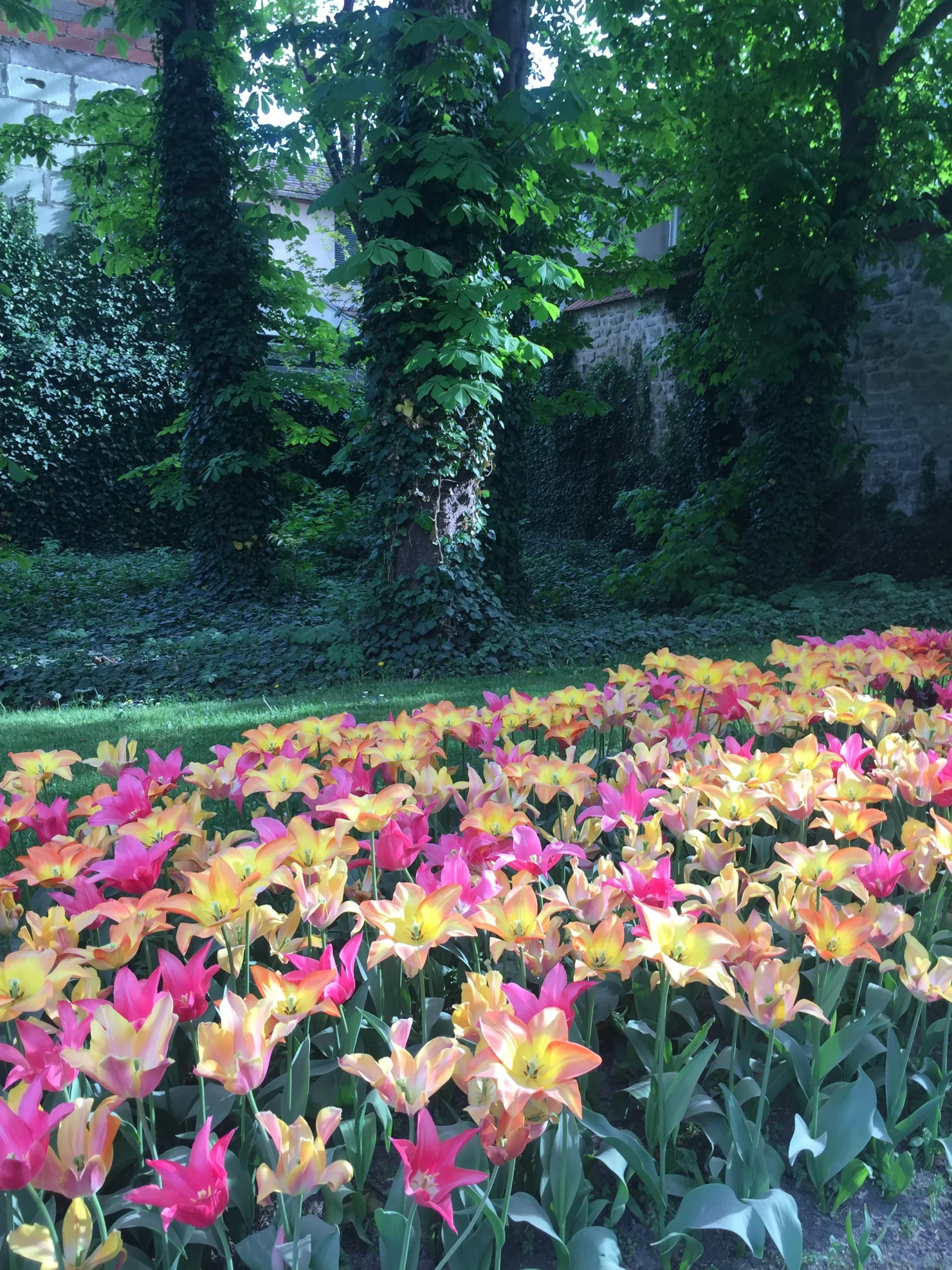 TULIP DAY AT THE PARK OF THE LEGION D’HONNEUR - SAINT DENIS