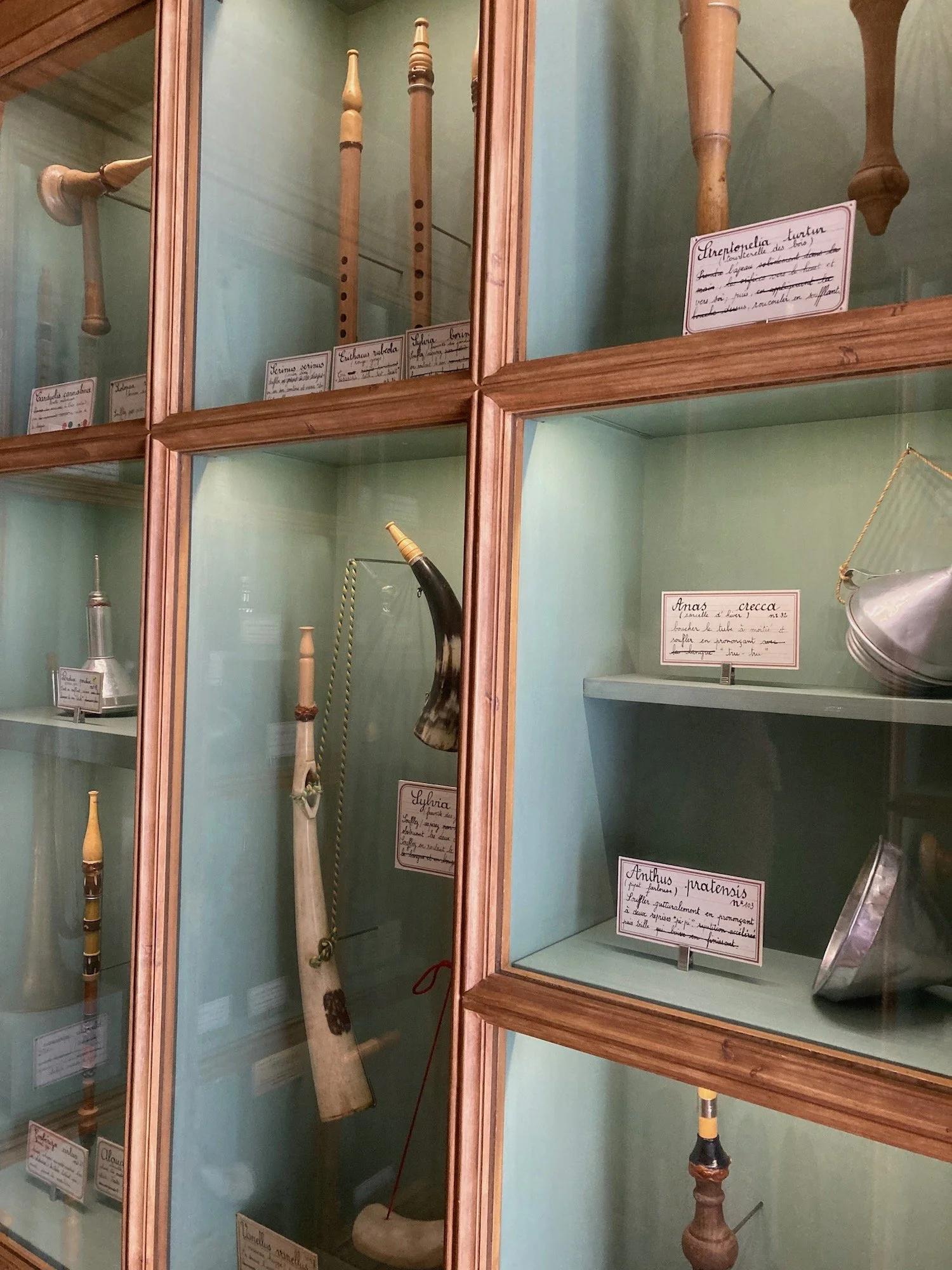  Paris museum family outing Musée de la Chasse et de la Nature off beaten tracks one of a kind experience 