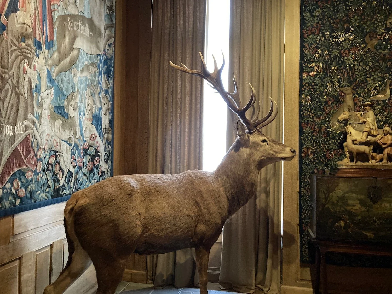 Paris museum family outing Musée de la Chasse et de la Nature off beaten tracks one of a kind experience
