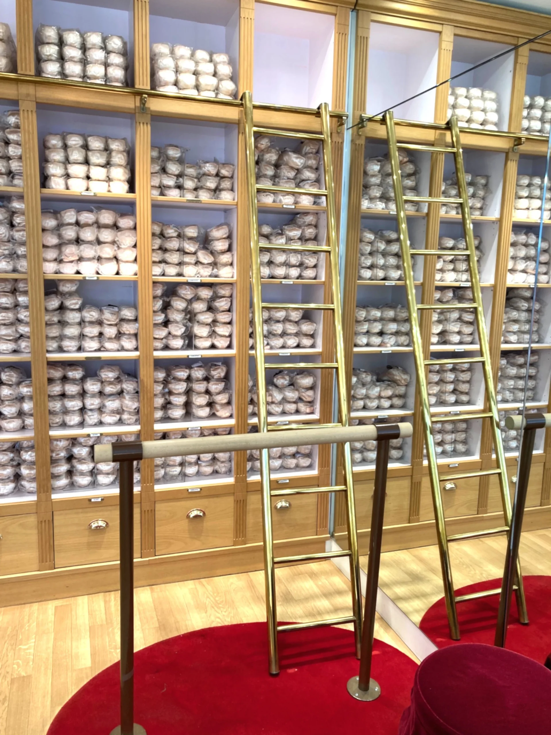 DANCE INTO A WORLD OF GRACE AND ELEGANCE : REPETTO