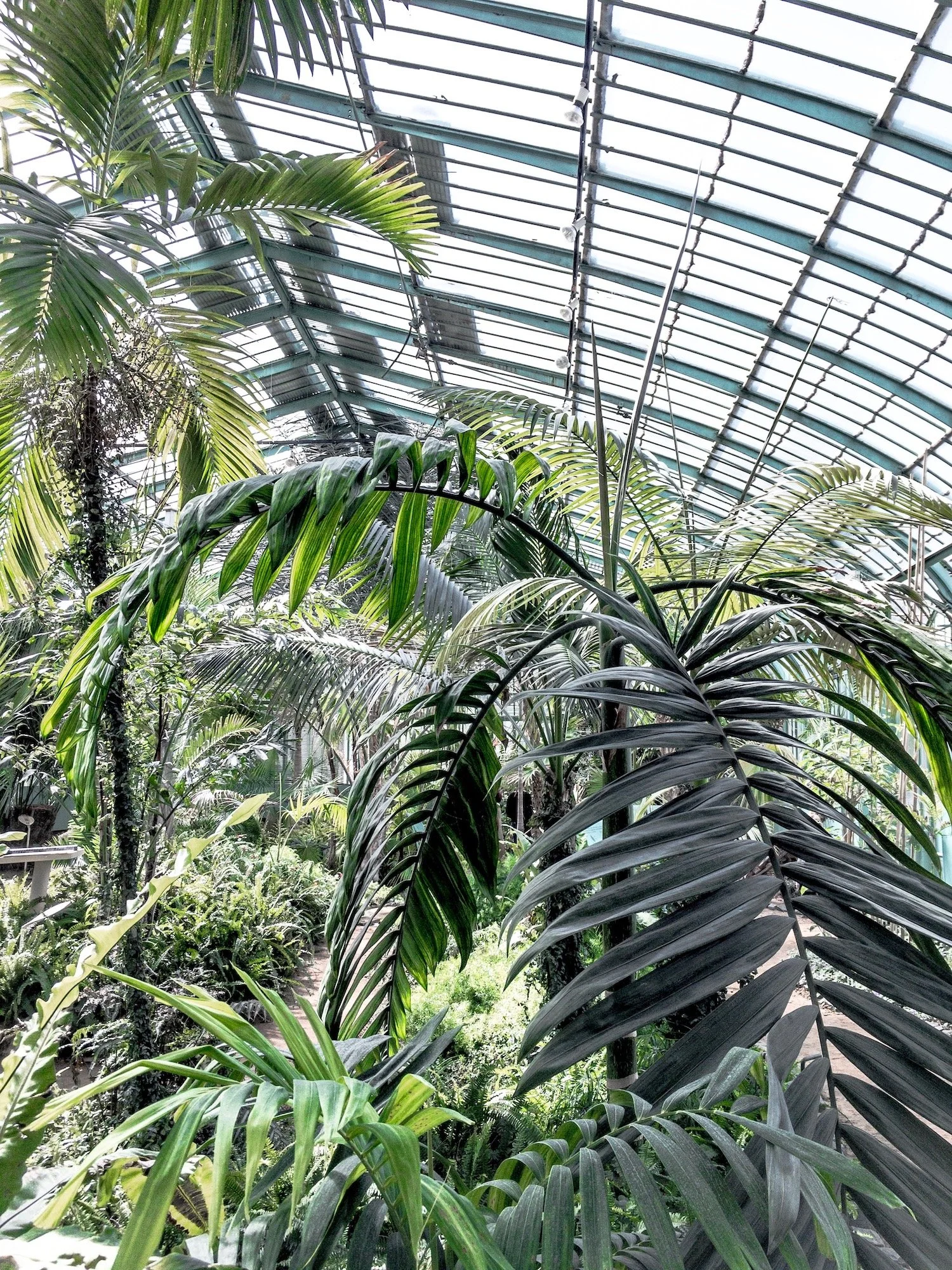 AN EXOTIC PARISIAN VISIT : LES JARDINS D'AUTEUIL